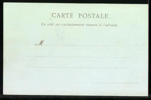 AK Cannes, Le Boulevard de la Croisette, vue prise de l`Hôtel de la Plage