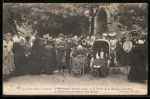 AK Lourdes, Les Grands Malades réunis sur le Parvis de la Basilique, attendent la Benediction individuelle
