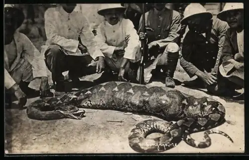 AK Jagd, Männer und ihre Beute, eine Riesenschlange