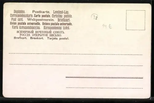 AK Schmetterlinge, Hopfenspinner, H. humuli, Trauereule, A. luctuosa, Rotes Ordensband, C. nupta