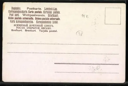AK Schmetterlinge, Apfelwickler, C. pomonana, Sandauge, E. Janira, Hollunderspanner, U. sambucaria