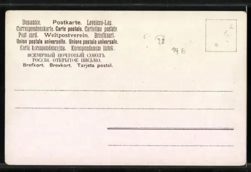 AK Schmetterlinge, Grosser Perlmutterfalter, A. Agiaja, Achateule, B. meticulosa, Moderholz, C. exoleta