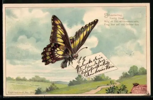 AK Schmetterling mit Nachricht in der Luft