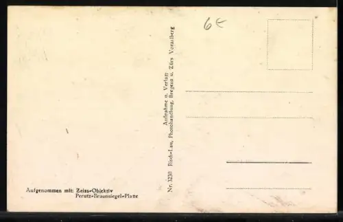 Foto-AK Wachsames Murmeltier in den Alpen