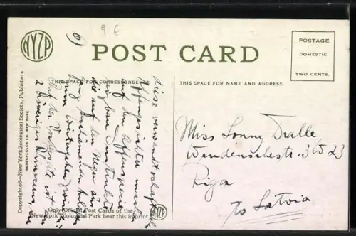 AK New York, NY, Two-horned African Rhinoceros, Nashorn mit Tierwärter