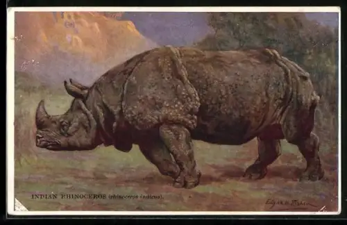 Künstler-AK Edgar H. Fisher: Natural History - Animals, Indian Rhinoceros, Nashorn