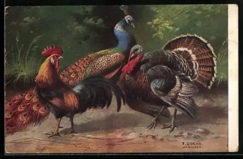 Künstler-AK Hahn mit Pfau und Truthahn