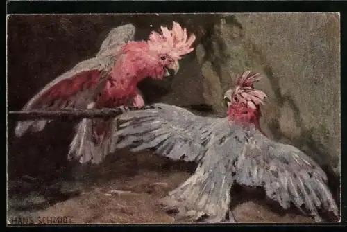 Künstler-AK Zwei miteinander kommunizierende Papageien