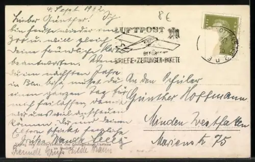 AK Berlin, Zoologischer Garten, Verschiedene Arten Pinguine