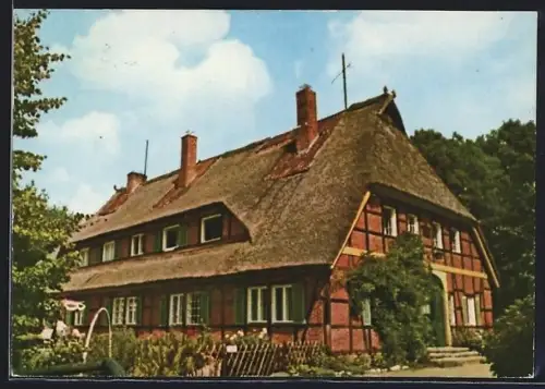 AK Behringen /Lüneburger Heide, Forstgut Einem, Privatpension, Inh. H. Hasselmann