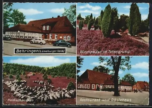 AK Behringen / Lüneburger Heide, Gast- u. Pensionshaus Zur Grünen Eiche, Inh. H. Rieckmann, Exterieur und Natur