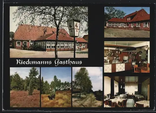 AK Behringen /Lüneburger Heide, Rieckmanns Gasthaus mit Exterieur und Natur