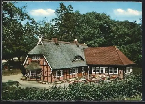 AK Borstel / Bispingen, Gasthaus Lönsklause, Inh. Familie Jacob, Aussenansicht mit Natur