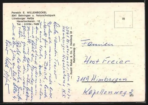 AK Behringen /Lüneburger Heide, Pension E. Willenbockel, Aussenansicht mit umgebender Natur