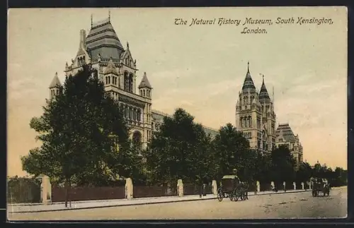 AK London, South Kensington, The Natural History Museum