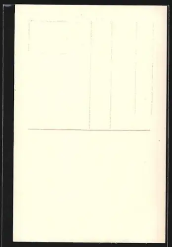 AK Bruxelles, Palais de la Nation