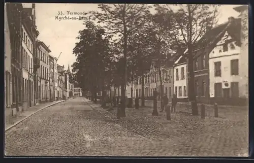 AK Termonde, Marché-au-Bétail