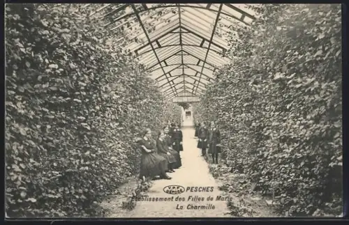 AK Couvin, Pesches, Etablissement des Filles de Marie, La Charmille