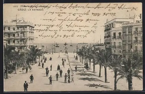 AK Cádiz, La Entrada