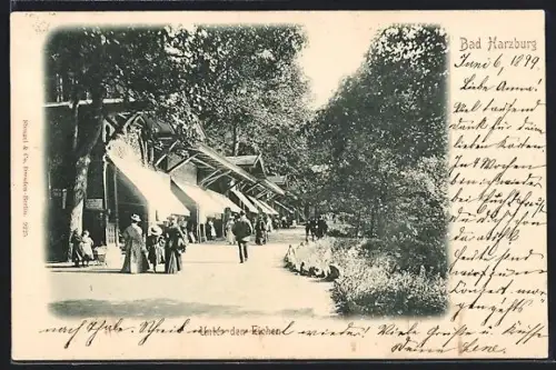 AK Bad Harzburg, Unter den Eichen