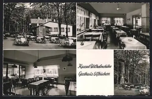 AK Kassel-Wilhelmshöhe, Gasthaus Elfbuchen, BEs. W. Fischer, Innenansicht, Terrasse