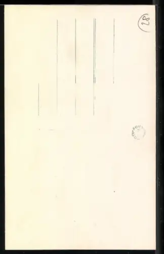 AK Foto eines Mamuts