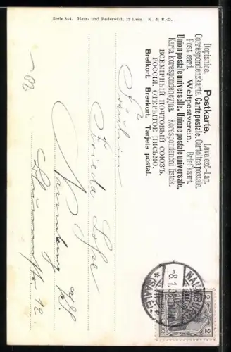 Künstler-AK M.Müller jun.: Gemsen auf einem Berg