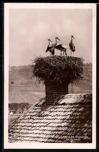 AK Les Cigognes en Alsace, Störche im Nest auf einem Schornstein
