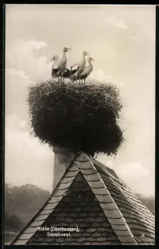 AK Nidda / Oberhessen, Storchennest auf dem Kamin eines Hauses