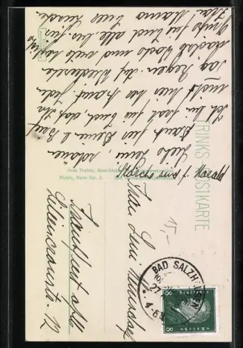 AK Nidda / Oberhessen, Storchennest auf dem Kamin eines Hauses