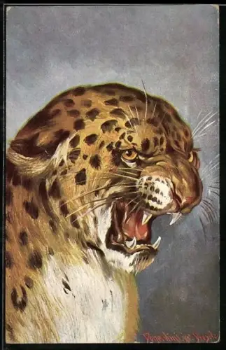 Künstler-AK Ermenegildo Carlo Donadini: Fauchender Leopard