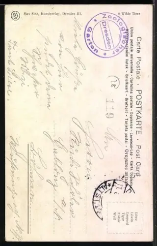 AK Leopard beobachtet