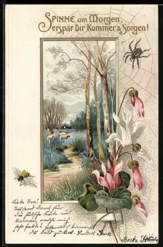 AK Spinne jagt über ihr Netz eine Biene