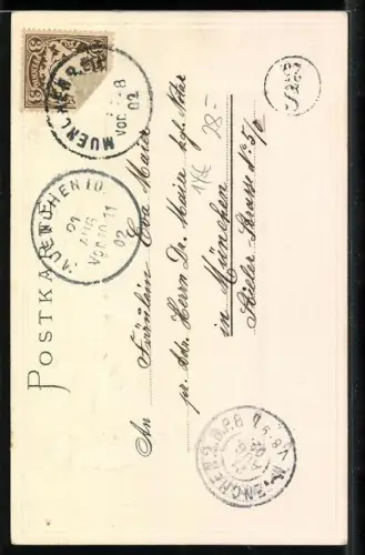 AK Spinne jagt über ihr Netz eine Biene