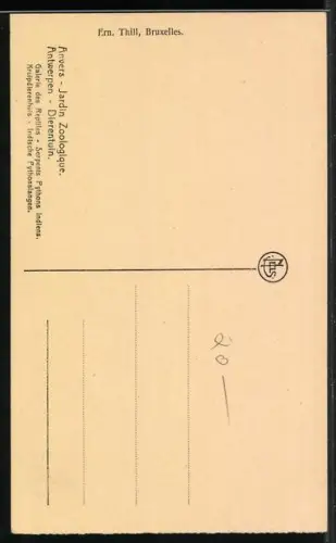 AK Antwerpen, Schlange im Zoo