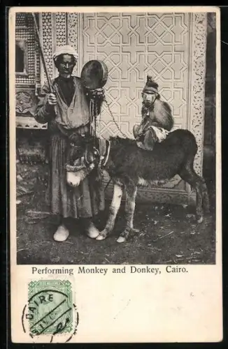 AK Cairo, Performing Monkey and Donkey
