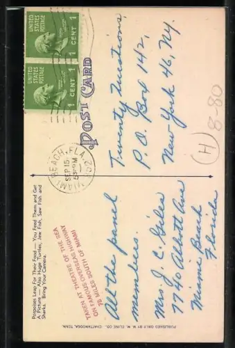 AK Theater of the Sea, Delphin-Dressur