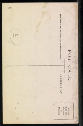 AK Wilhemina von den Niederlanden im Profil, Flagge