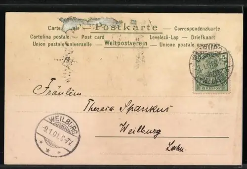 Lithographie Dame in grünem Kleid vor Blumen im Jugendstil