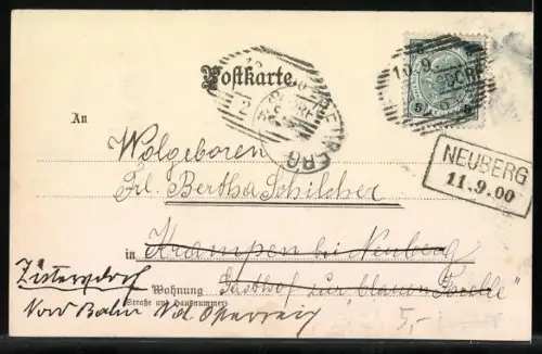 Lithographie Porträt einer Dame vor einem blühenden Baum, Jugendstil