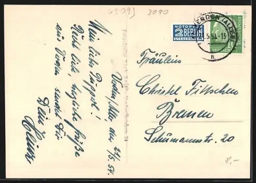 AK Verden /Hann., Pferdezucht mit Ort im Hintergrund