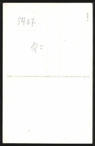 AK Boppard, Pfarrkirche