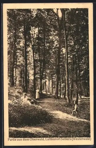 AK Selters /Westerwald, Partie aus dem Oberwald mit Wandernden