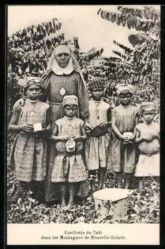 AK Nouvelle-Guinée, Cueillette du Café dans les Montanges de Nouvelle-Guinée