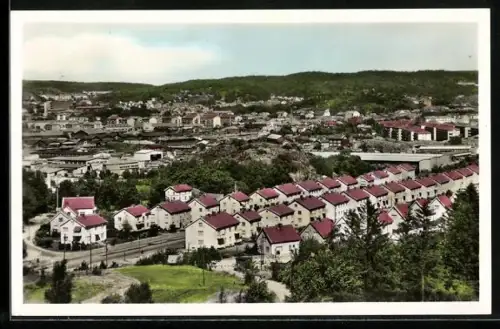 AK Uddevalla, Panorama