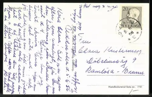 AK Uddevalla, Panorama