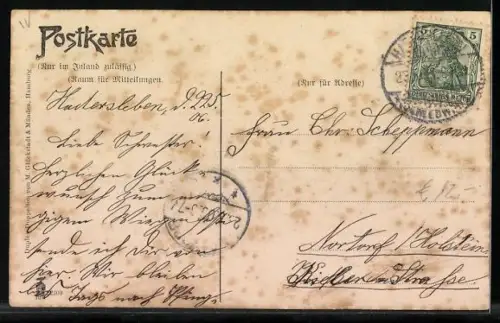 AK Hadersleben, Christiansfelder Chaussee mit Katharinen Heim