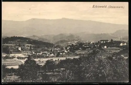 AK Eibiswald /Steiermark, Gesamtansicht aus der Vogelschau