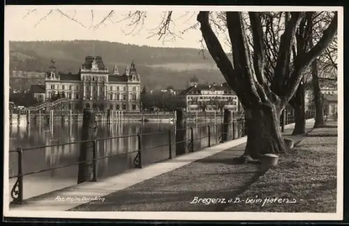 AK Bregenz a. B., Ortspartie beim Hafen, mit Uferpromenade