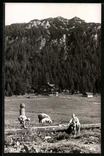 AK Brixlegg, Unterkunftshaus Holzalpe mit Umgebung, Knabengruppe